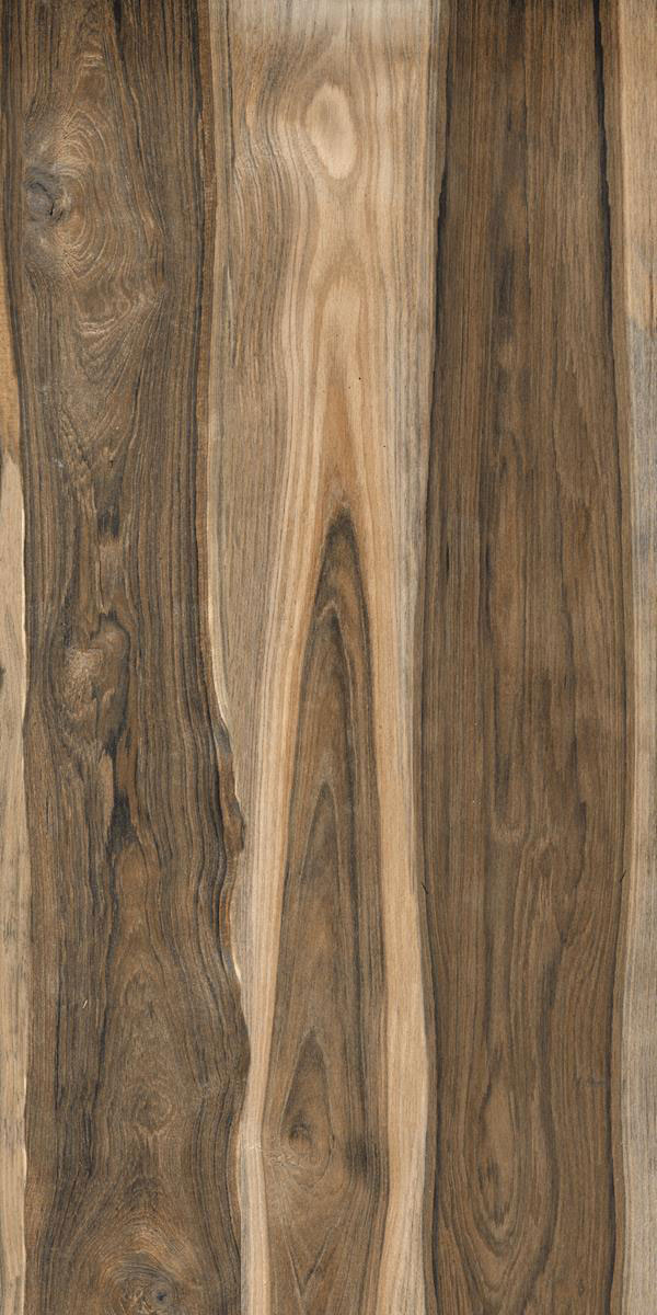 CHOCONUT WOOD F1